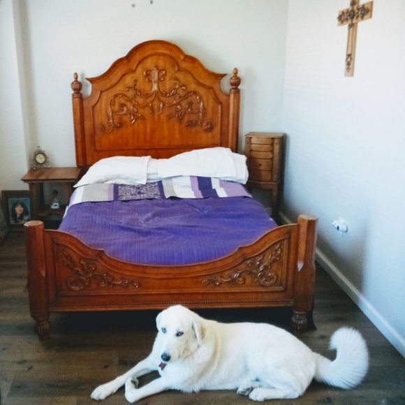 Hello Everyone! - Picture 1 of 2